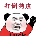 专业套彩