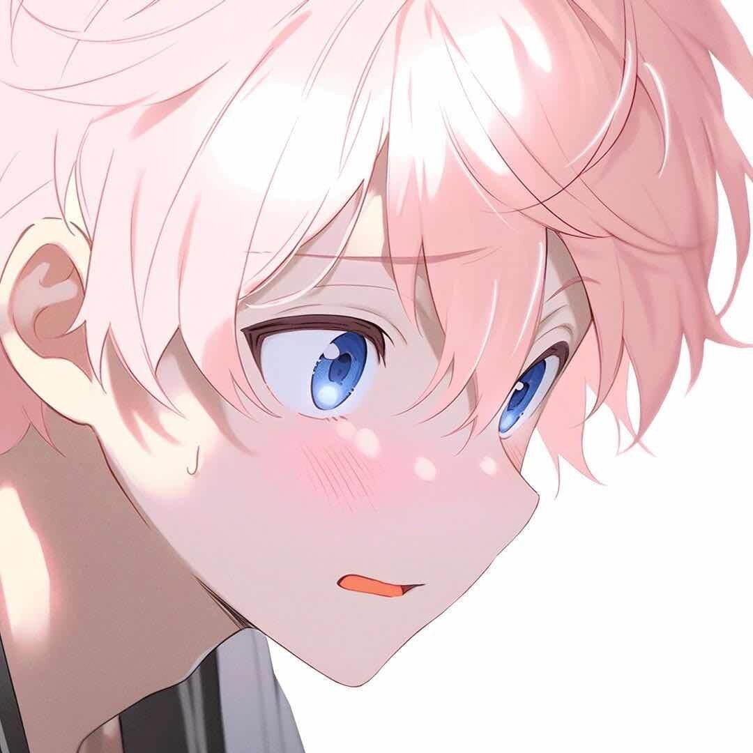 章鱼